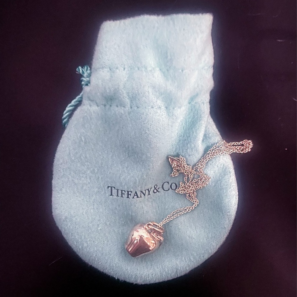 Silver Tiffany and Co Necklace